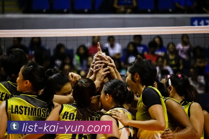 App Interface Preview